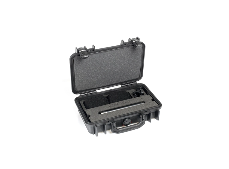 DPA d:dicate? 4015A Stereo Pair with 2x4015A, Clips, Windscreens in Peli Case 